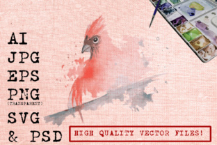 Angry Rooster Watercolor: A Designer’s Real-World Review