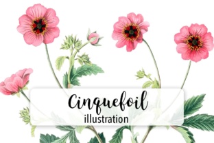 Cinquefoil Watercolor Embroidery Review