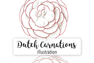 Dutch Carnation Watercolor Illustrations for Editorial Design