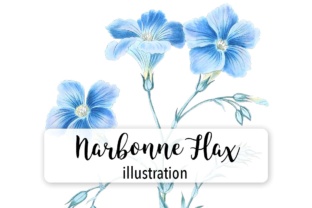 Narbonne Flax Watercolor: A Review for Digital Sellers