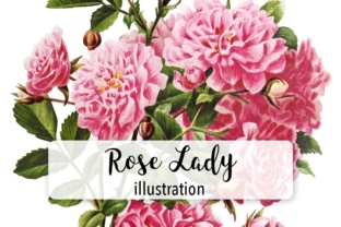 Rose Lady Watercolor Illustrations