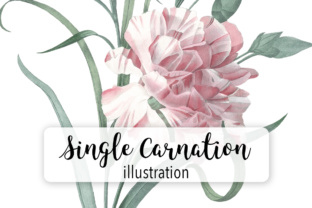 Single Carnation Watercolor