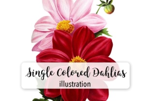 Single Colored Dahlia Watercolor: A Designer’s Review for Branding and Illustrations
