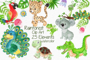 Watercolor Animals Clipart Peacock for Illustrations