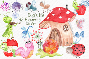 Watercolor Bugs Clipart Cricket Lady Bird Review