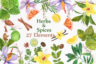 Watercolor Herb Clipart for Local Business Branding and Packaging