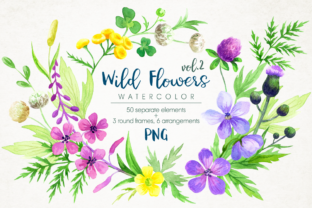 Wild Flowers Watercolor Set Review