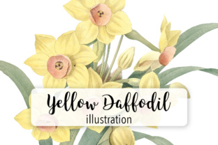 Yellow Daffodil Watercolor Flower Illustrations Review